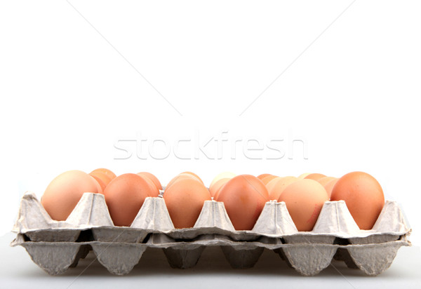 Eieren vogel kip groep shell dier Stockfoto © nenovbrothers