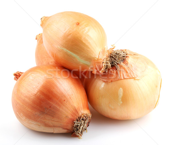 onion isolated Stock photo © nenovbrothers