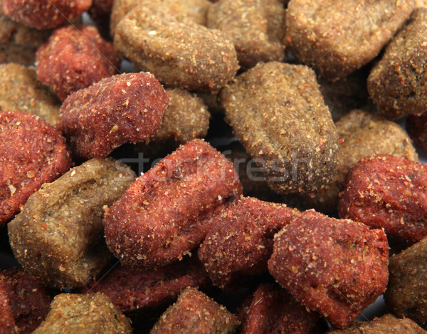 Huisdier voedsel hond kleur puppy maaltijd Stockfoto © nenovbrothers
