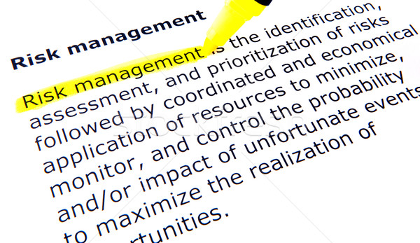 Risk management Stock photo © nenovbrothers