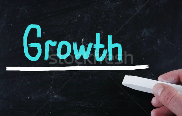 growth concept Stock photo © nenovbrothers