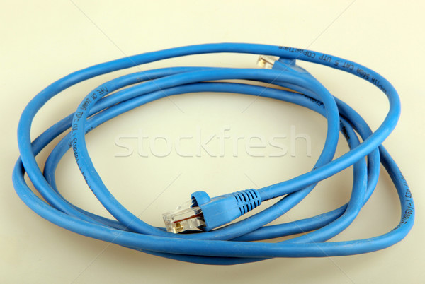 Ethernet network cables Stock photo © nenovbrothers