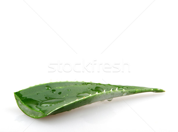 Aloe natură lumina frunze verde medicină Imagine de stoc © nenovbrothers