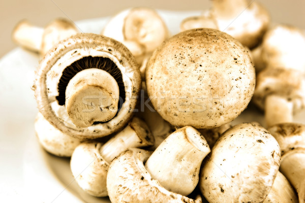 Edible mushroom Stock photo © nenovbrothers