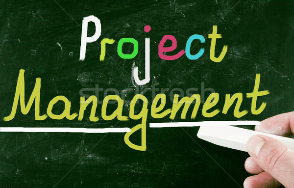 project management Stock photo © nenovbrothers