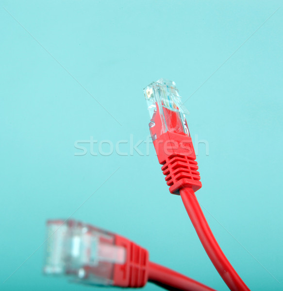 Ethernet hálózat kábelek számítógép internet telefon Stock fotó © nenovbrothers