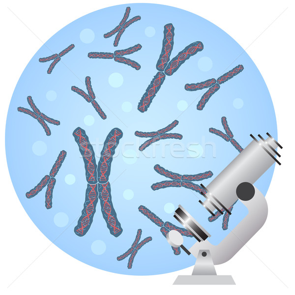Microscope and chromosomes. Stock photo © Neokryuger