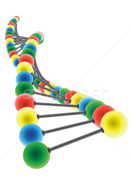DNA 模型 白 性質 教育 醫藥 商業照片 © Neokryuger
