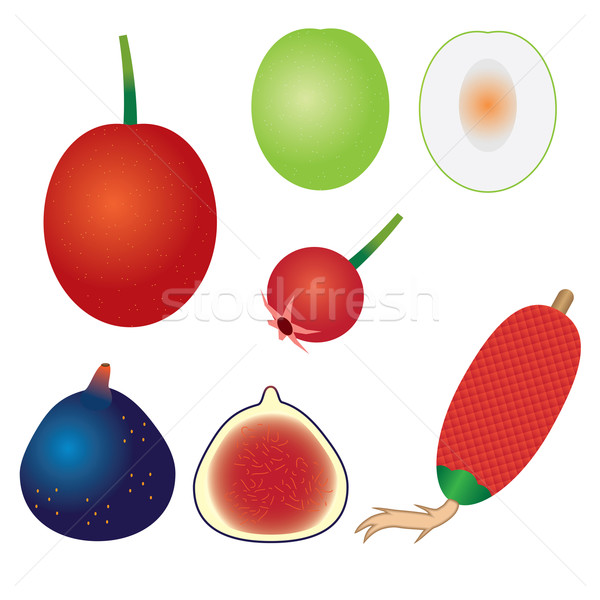 Set of exotic fruits. Stock photo © Neokryuger