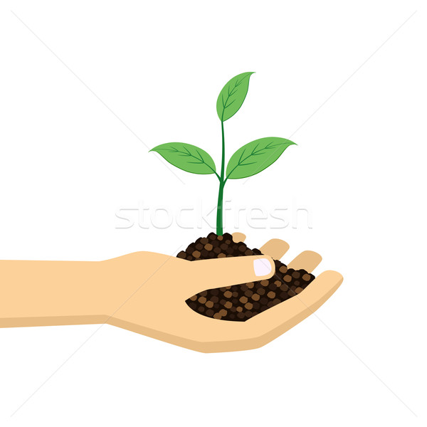 green plant in hand. Stock photo © Neokryuger