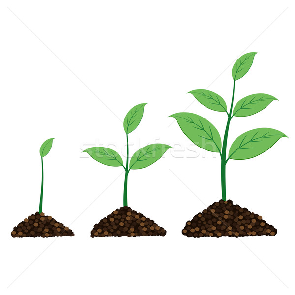 Stockfoto: Plant · groeien · omhoog · moment · ontwerp · illustratie