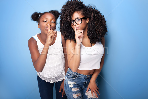Due bella giovani sorelle posa african american Foto d'archivio © NeonShot