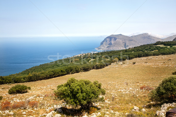 Landscape, Sicily, Italy. Stock photo © NeonShot