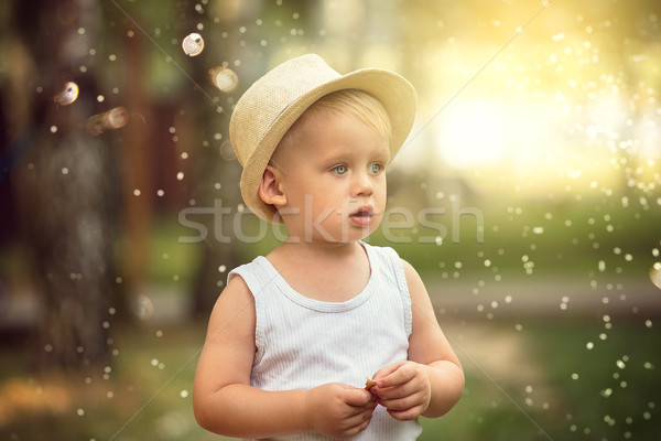 Weinig jongen spelen park baby Stockfoto © NeonShot
