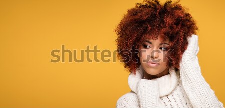 Beauty portrait of girl with afro. Stock photo © NeonShot