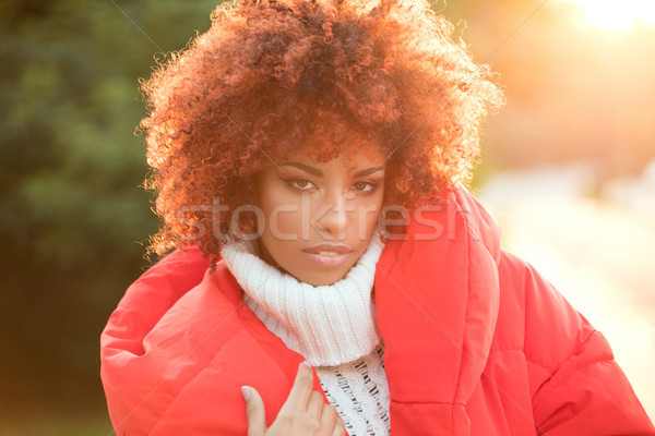 Najaar portret afro-amerikaanse meisje outdoor mooie Stockfoto © NeonShot