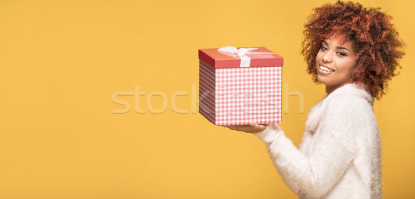 Afro lány pózol ajándék doboz mosolyog gyönyörű Stock fotó © NeonShot