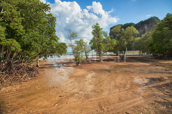 Belo paisagem costa ensolarado céu água Foto stock © NeonShot