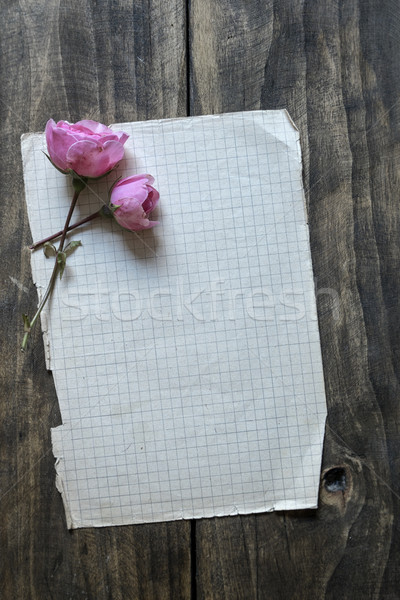 Stock fotó: Szeretet · levél · klasszikus · régi · papír · rózsaszín · rózsa · fa