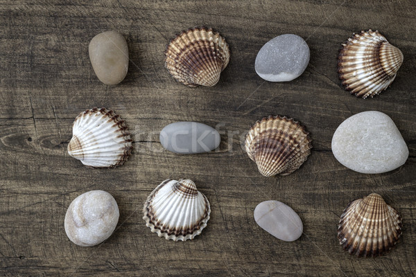 Sea shells and  pebbles on an old wooden plank Stock photo © nessokv