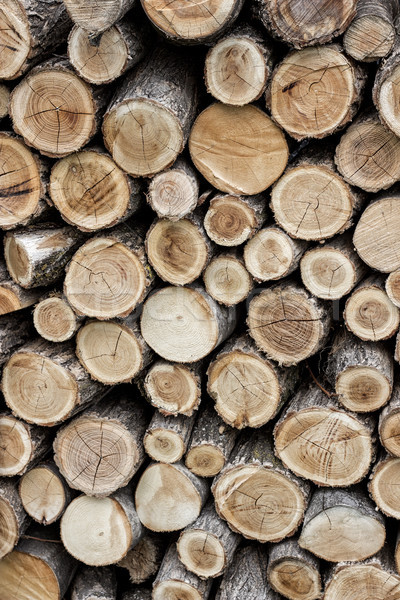 chopped firewood logs Stock photo © nessokv