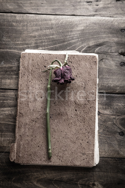 Single flower on vintage  book on wood background Stock photo © nessokv
