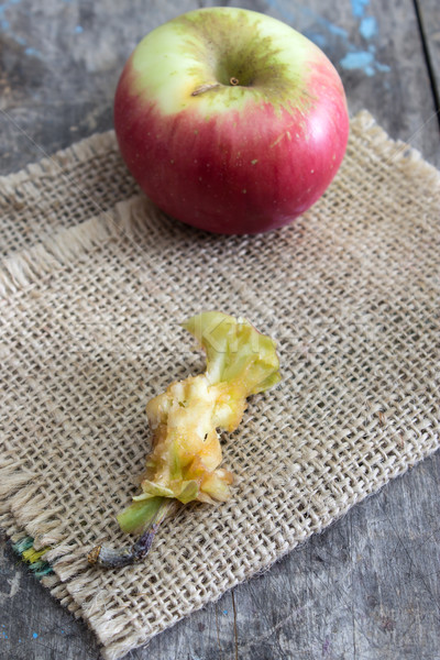 two apples Stock photo © nessokv