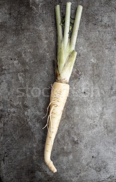 turnip on old rustic background Stock photo © nessokv