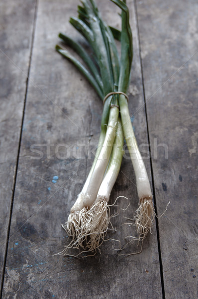 Green Onion  Stock photo © nessokv
