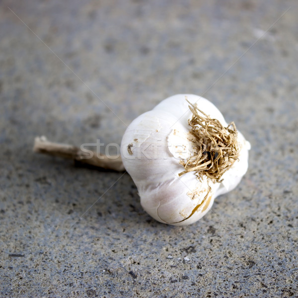 Garlic bulb on a gray raw stone table Stock photo © nessokv