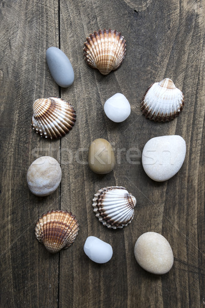 Sea shells and pebbles on an old wooden plank Stock photo © nessokv