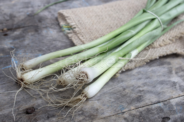 Heap of fresh young onion  Stock photo © nessokv