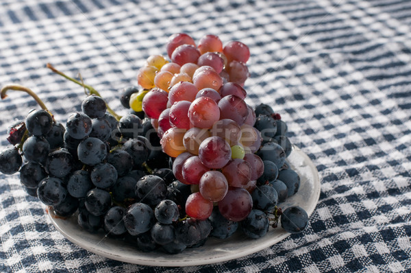 	Cabernet grape Stock photo © nessokv