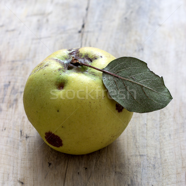 органический яблоко айва деревенский Сток-фото © nessokv