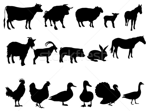 Animaux de la ferme silhouettes nature cheval noir moutons [[stock_photo]] © Nevenaoff