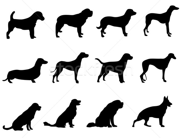 犬 シルエット 犬 自然 デザイン にログイン ストックフォト © Nevenaoff