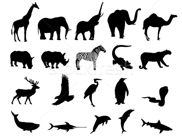 Wild animals Stock photo © Nevenaoff