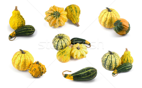 Pumpkin Collection Stock photo © newt96