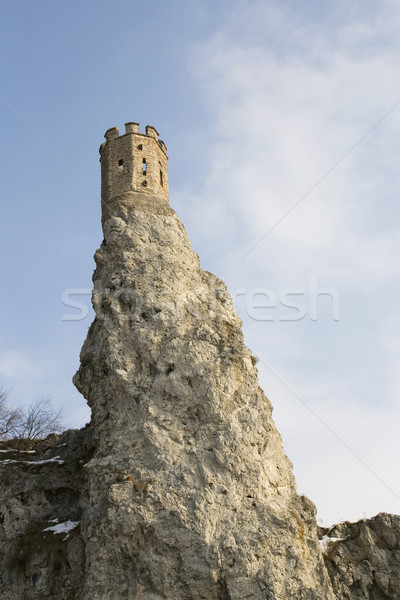 консервированный башни замок Братислава Словакия Европа Сток-фото © newt96