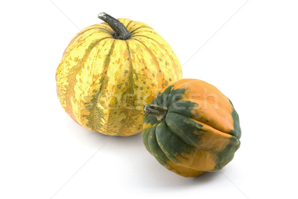 Two Miniature Ornamental Pumpkins Stock photo © newt96