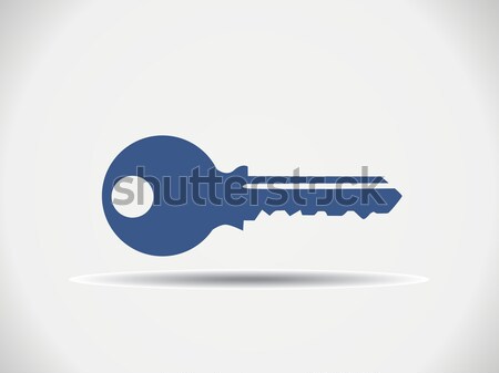 Anahtar vektör ikon ev güvenlik imzalamak Stok fotoğraf © nezezon