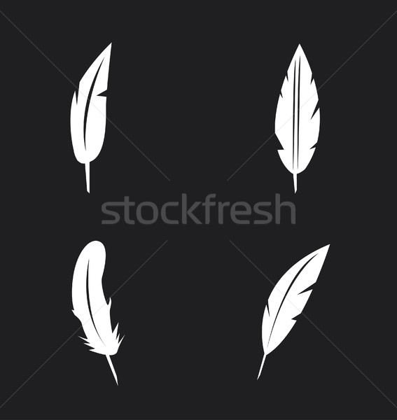 Vector feather icons set  Stock photo © nezezon