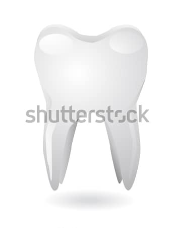 Fehér fog terv gyógyszer fogak fogorvos Stock fotó © nezezon