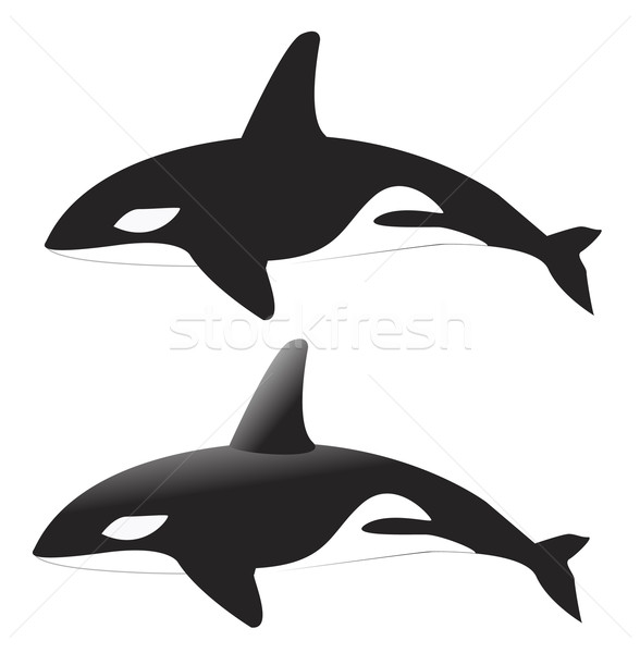 Whale Vector Stock photo © nezezon