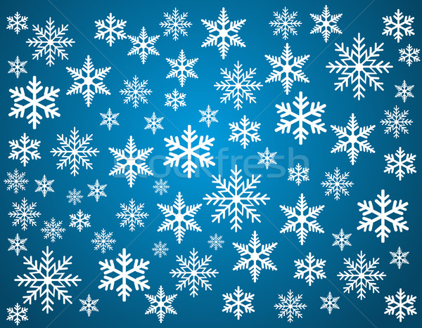 向量 · 雪花 ·集· 圣诞节 · 设计 · 性质 / vector snowflakes