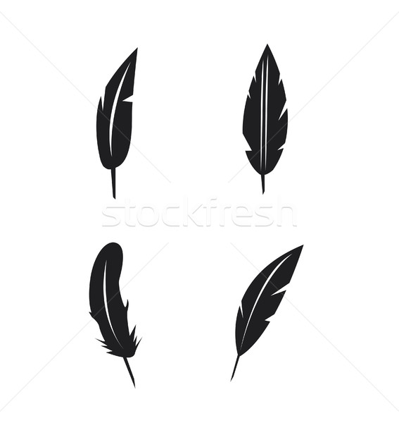 Vector feather icons set on white background Stock photo © nezezon