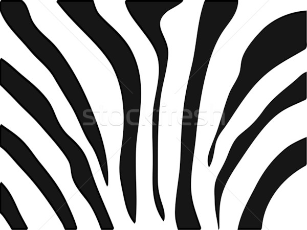 Foto d'archivio: Vettore · zebra · texture · bianco · nero · natura · sfondo