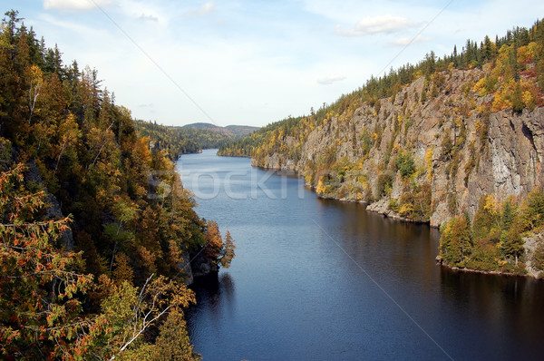 Fluss Herbst Landschaft Wasser Blatt Stock foto © nialat