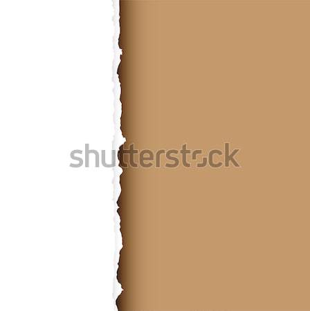 brown tear divide Stock photo © nicemonkey