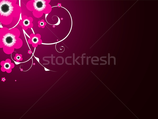Magenta blühen abstrakten floral Design dunkel Stock foto © nicemonkey
